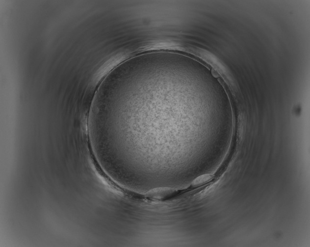 X0000089911241200707060952