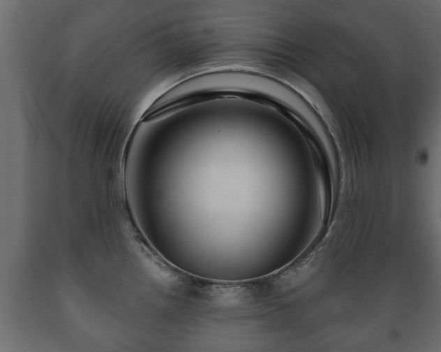 X0000089911242200707060952
