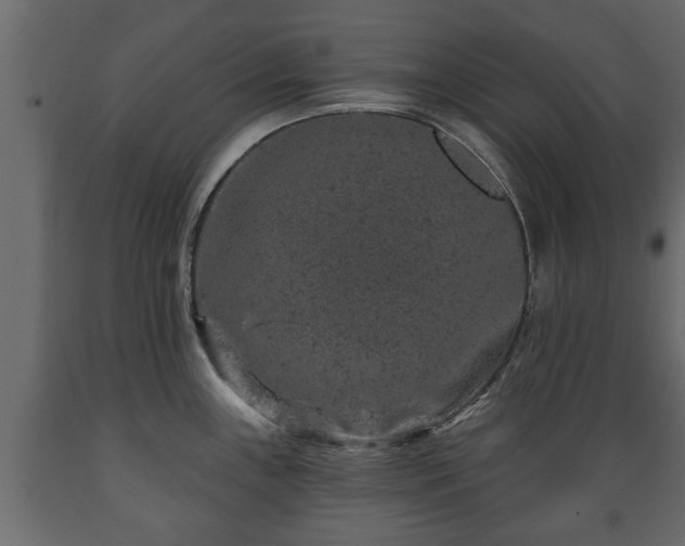 X0000089911243200707060952
