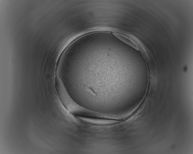 X0000089911244200707060952