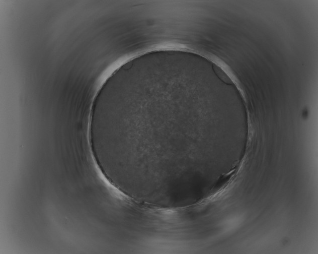 X0000089911245200707060952
