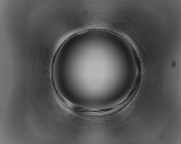 X0000089911246200707060952