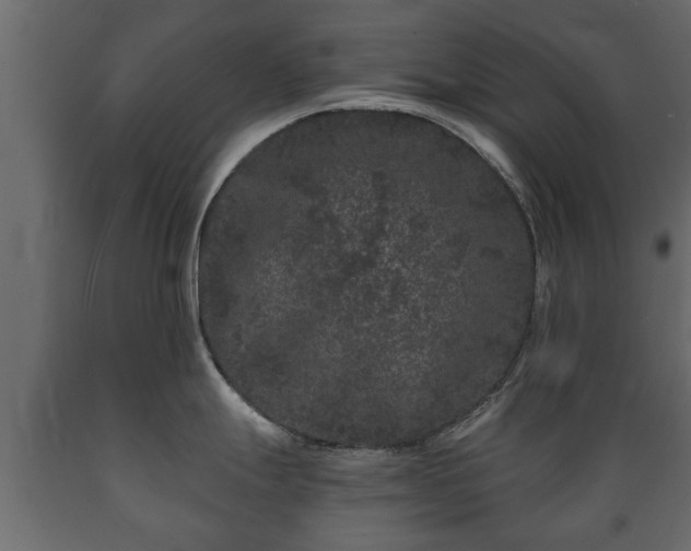 X0000089911247200707060952