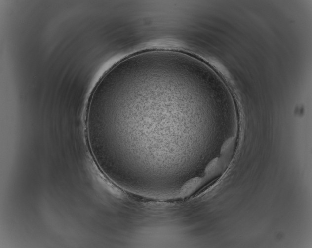 X0000089911248200707060952