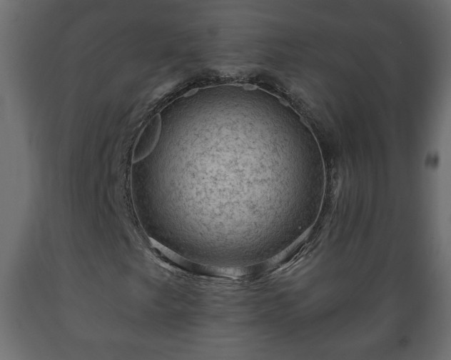 X0000089911249200707060952