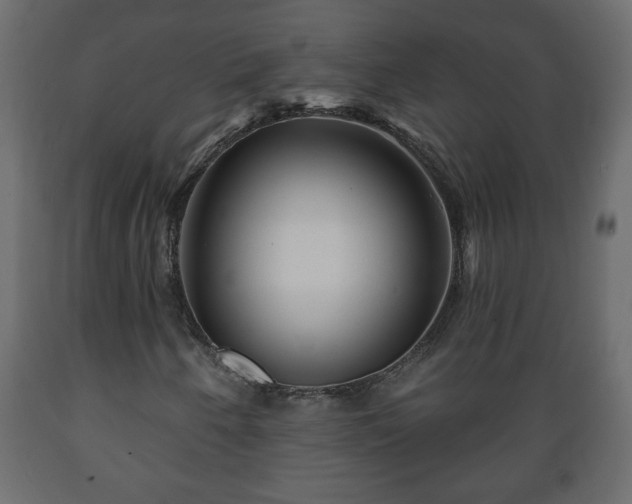 X0000089911250200707060952