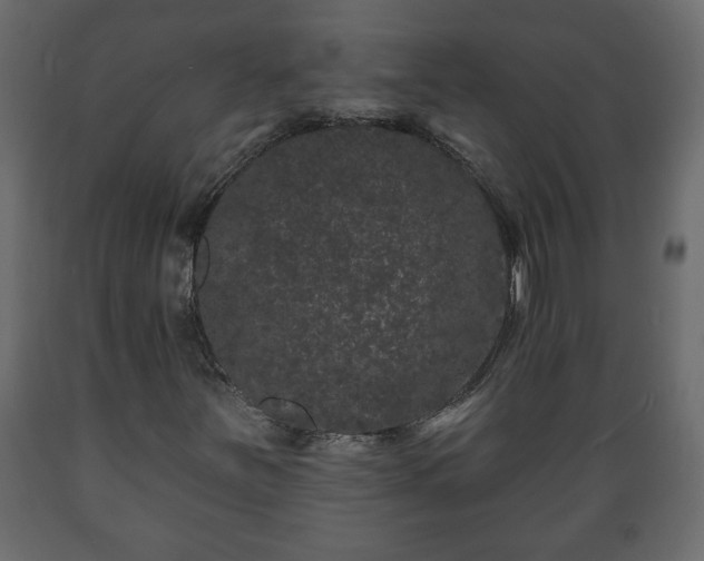 X0000089911251200707060952