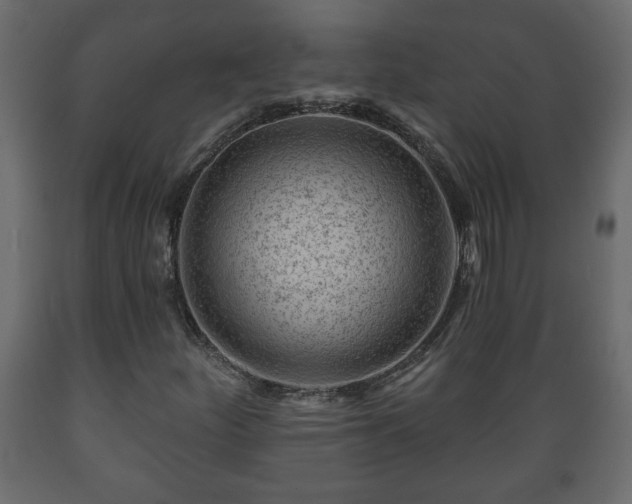 X0000089911252200707060952