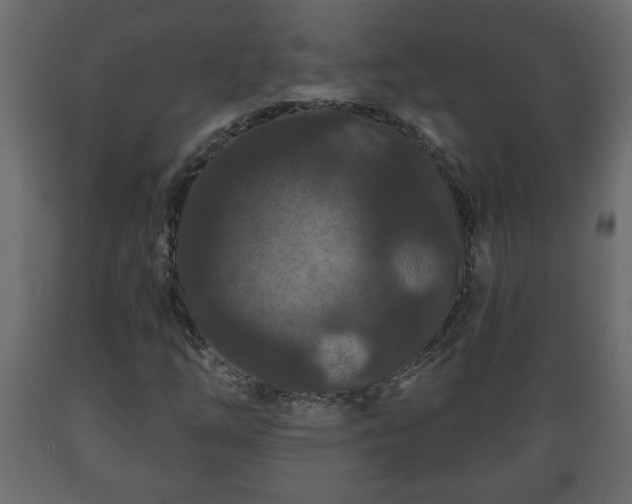 X0000089911254200707060952