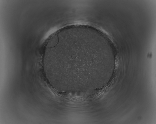 X0000089911255200707060952