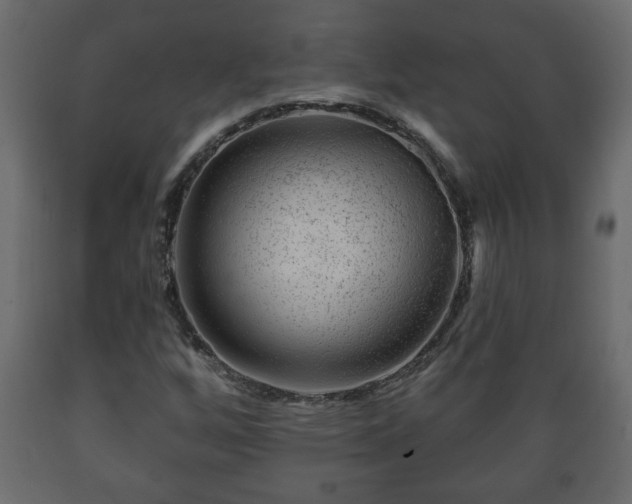 X0000089911256200707060952