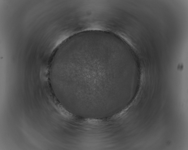 X0000089911258200707060952