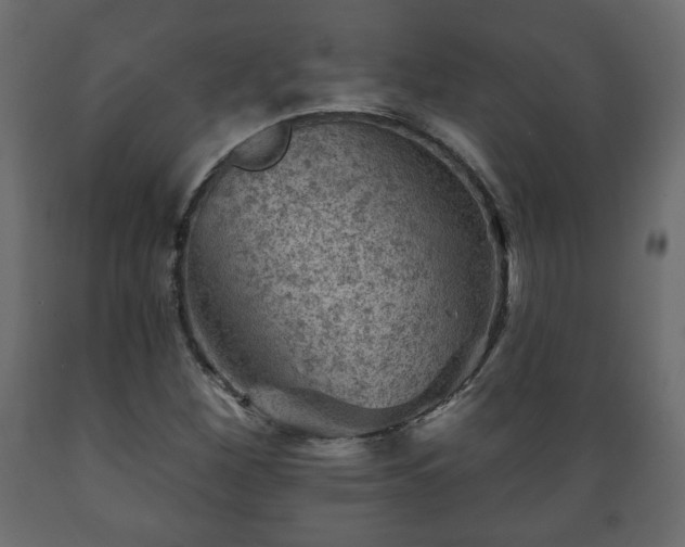 X0000089911260200707060952