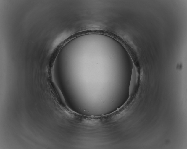 X0000089911261200707060952