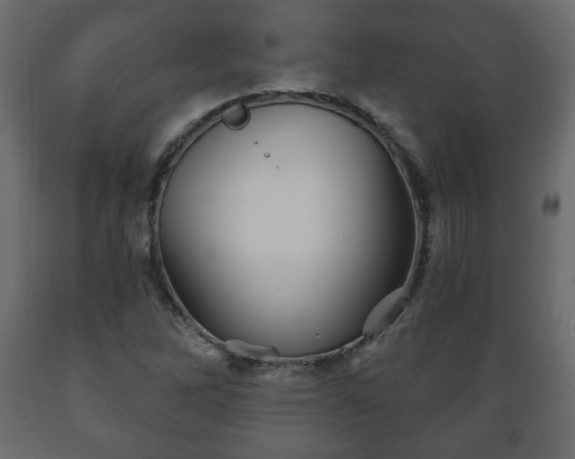 X0000089911262200707060952