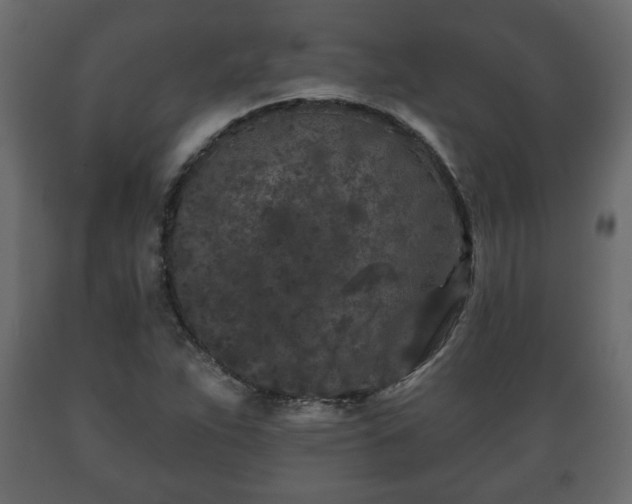 X0000089911263200707060952