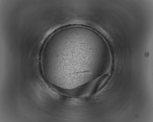 X0000089911264200707060952