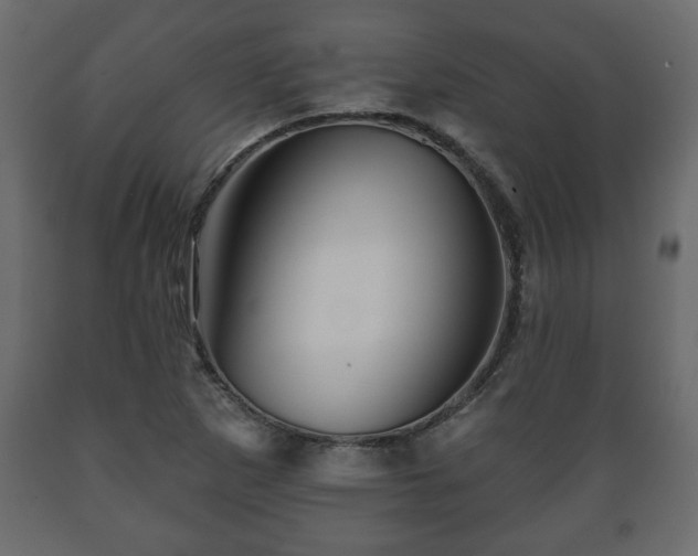 X0000089911265200707060952