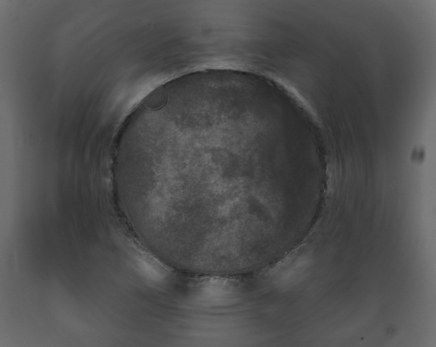 X0000089911266200707060952