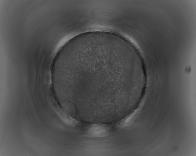 X0000089911267200707060952