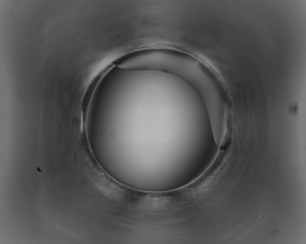 X0000089911269200707060952
