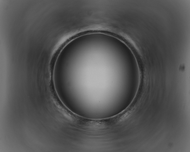 X0000089911270200707060952