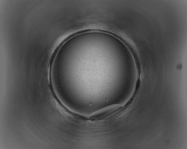X0000089911272200707060952