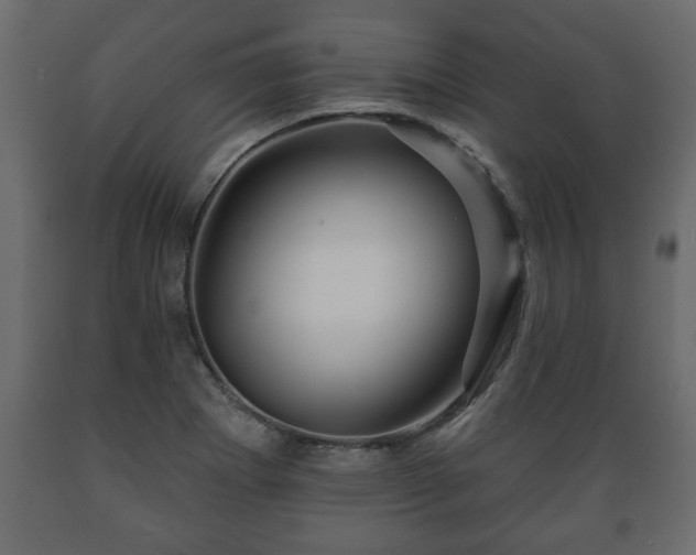 X0000089911273200707060952