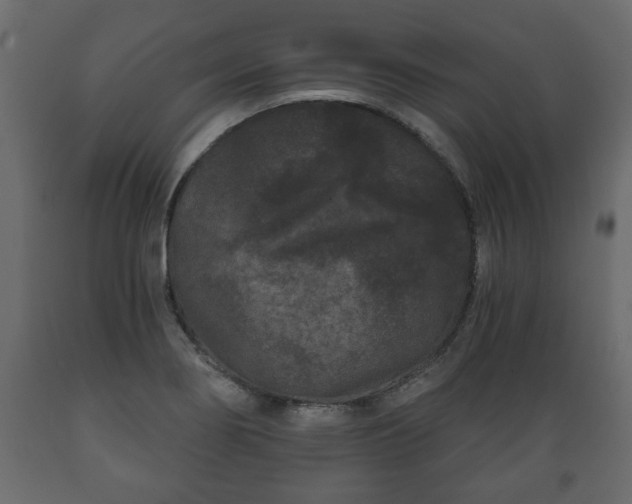 X0000089911274200707060952