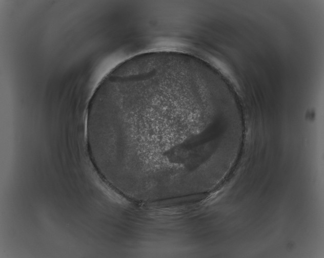 X0000089911275200707060952