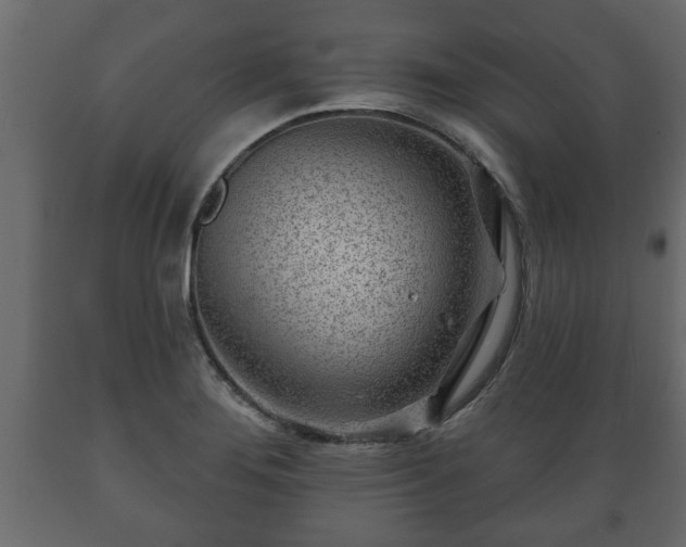 X0000089911276200707060952