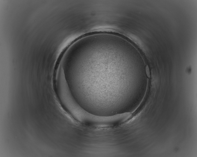 X0000089911277200707060952