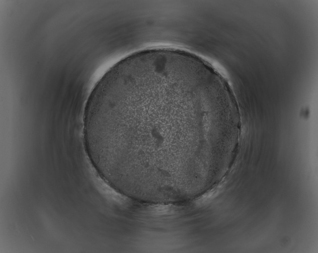 X0000089911279200707060951