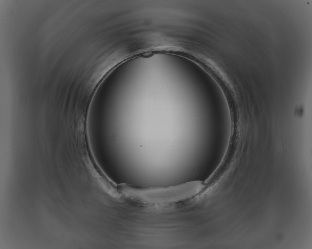X0000089911281200707060951