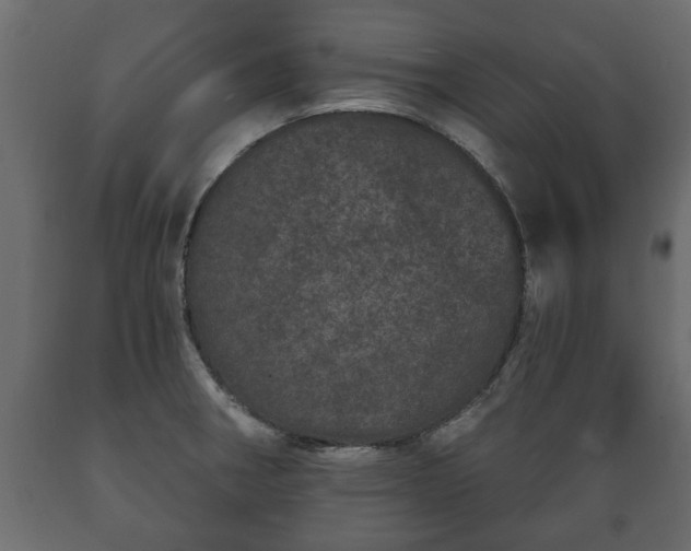 X0000089911282200707060951