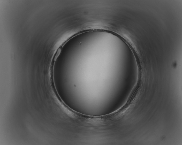 X0000089911285200707060951