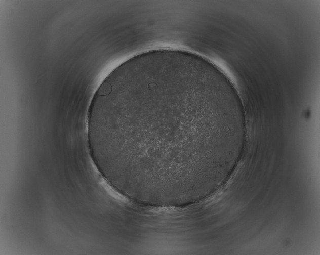 X0000089911287200707060951