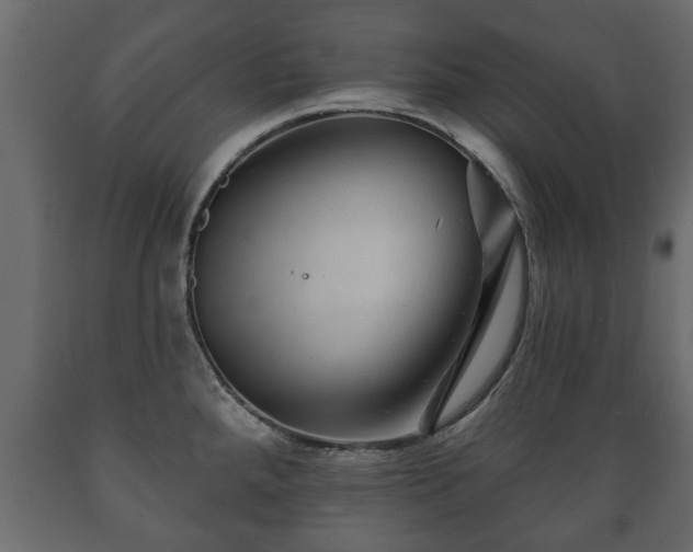 X0000089911288200707060951