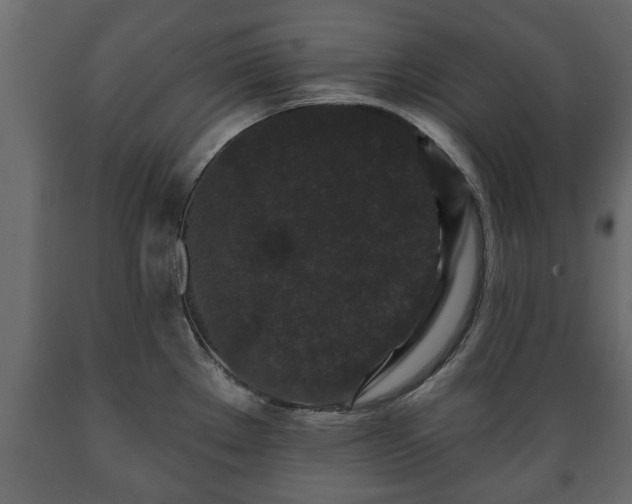 X0000089911289200707060951
