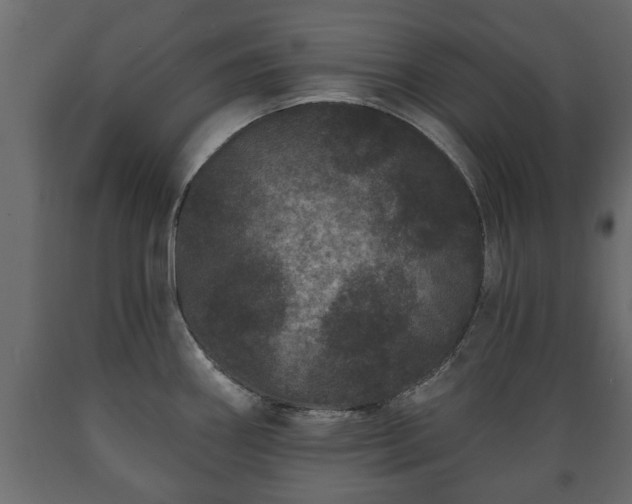X0000089911290200707060951
