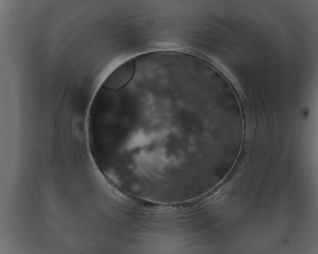 X0000089911291200707060951
