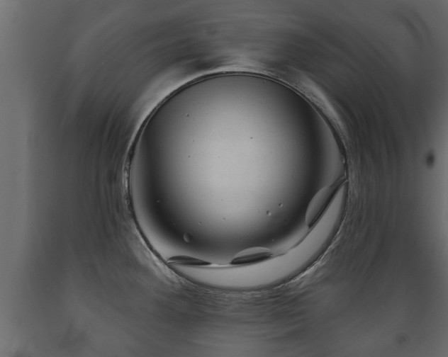 X0000089911292200707060951