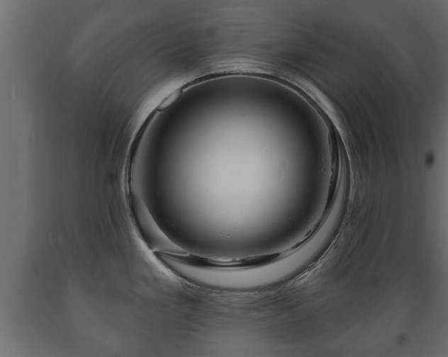 X0000089911293200707060951