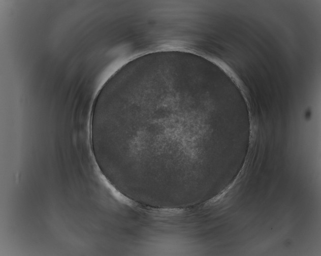 X0000089911294200707060951