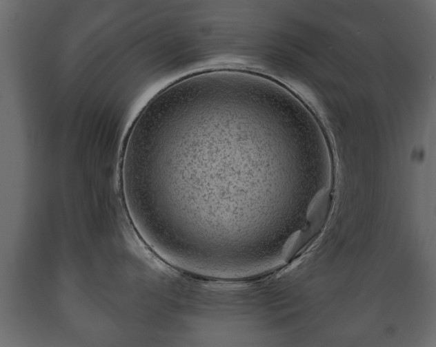 X0000089911296200707060951