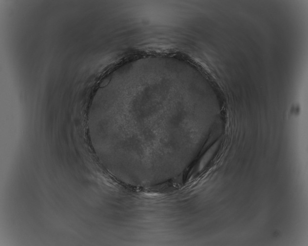 X0000089911297200707060951