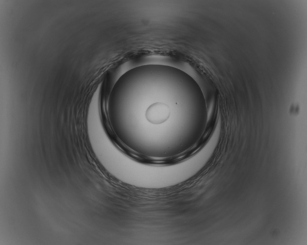 X0000089911298200707060951