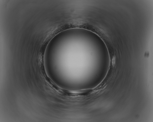 X0000089911299200707060951