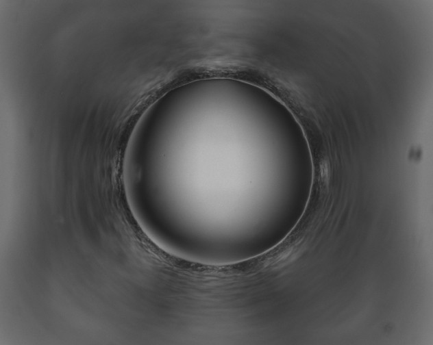 X0000089911300200707060951