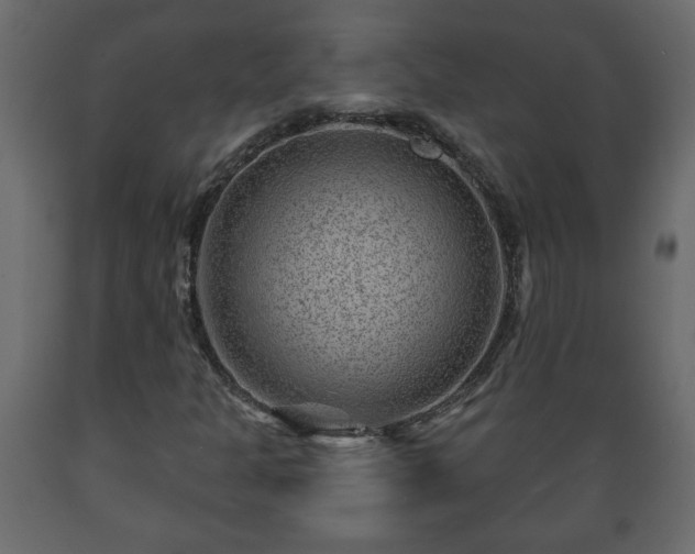 X0000089911301200707060951